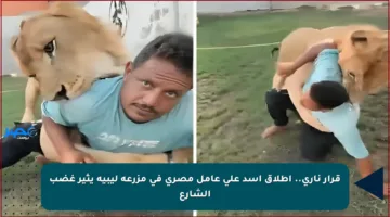 قرار ناري.. إطلاق أسد على عامل مصري في مزرعة ليبية يثير غضب الشارع